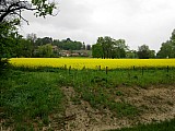 CGT10_Choulex 017.jpg CGT10_Choulex 017.jpg